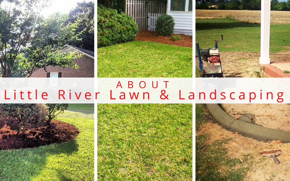 About Little River Lawn & Landscaping in Goldsboro, NC